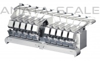 Linear combinational belt fed weigher AMATA-КАТЕ-210-LT